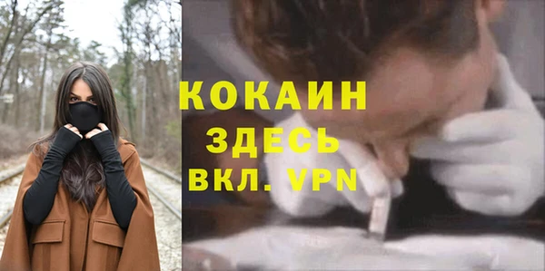 дживик Арсеньев