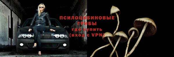 дживик Арсеньев